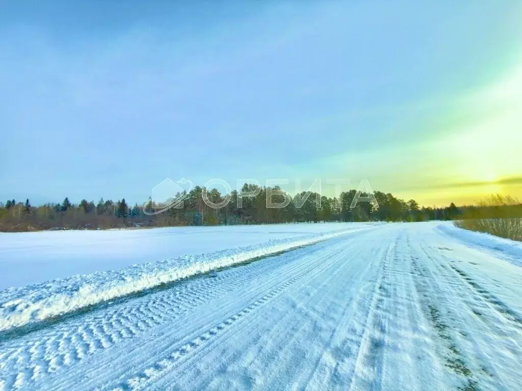 Участок в Тюменская область, Тюменский муниципальный округ, с. Успенка ... - Фото 1