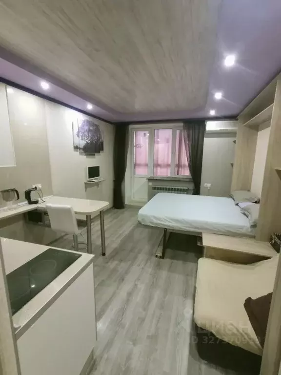 Студия Московская область, Люберцы городской округ, д. Мотяково 65к19 ... - Фото 2