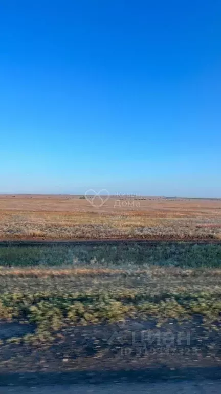 Участок в Волгоградская область, Среднеахтубинский район, Красное ... - Фото 0