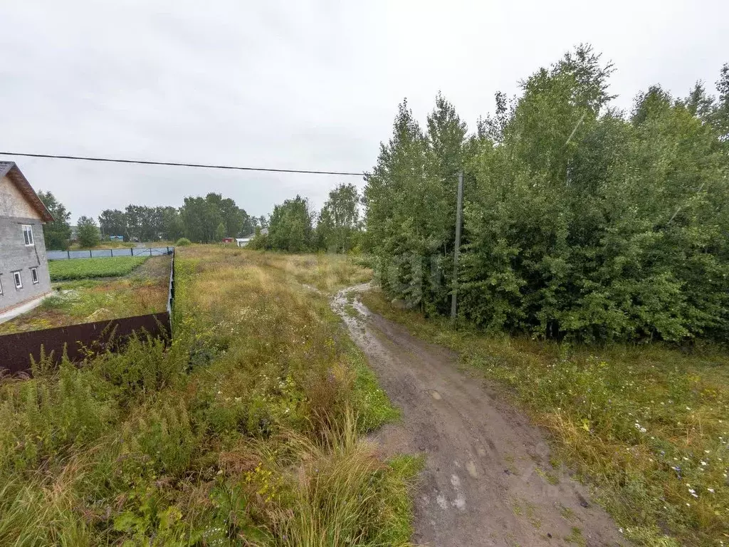 Участок в Тюменская область, Тюменский муниципальный округ, д. ... - Фото 1