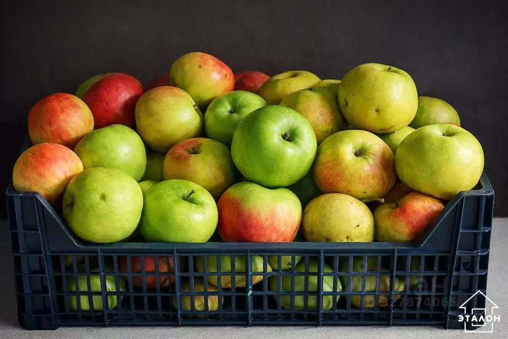 Дом в Омская область, Омск СОСН Дружба тер., 235 (70 м) - Фото 2