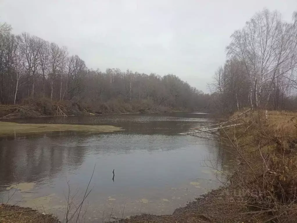 Участок в Рязанская область, Спасский муниципальный округ, с. Старое ... - Фото 2