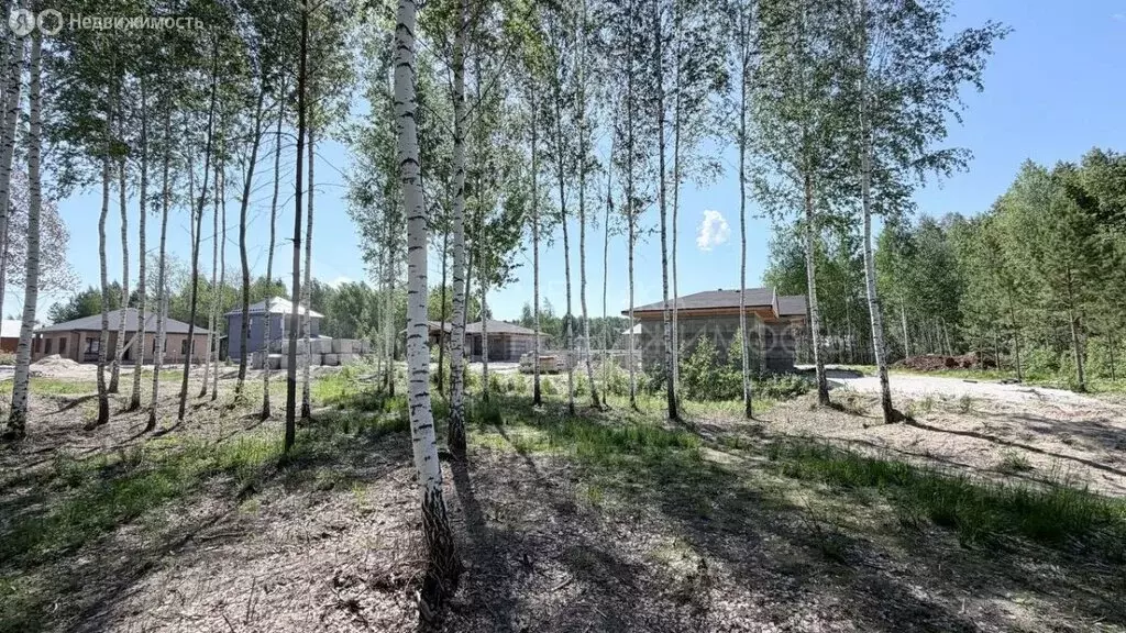 Участок в СНТ Березняки (18 м) - Фото 2