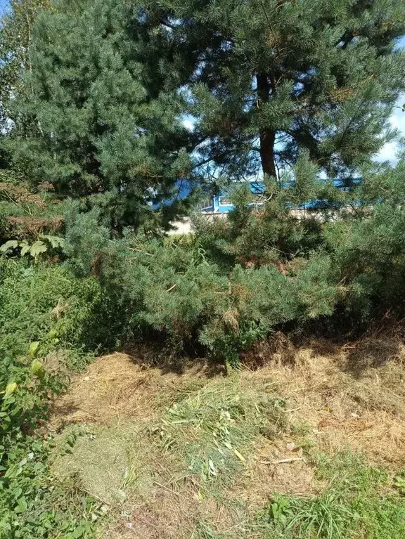 Участок в Московская область, Солнечногорск городской округ, Поварово ... - Фото 1