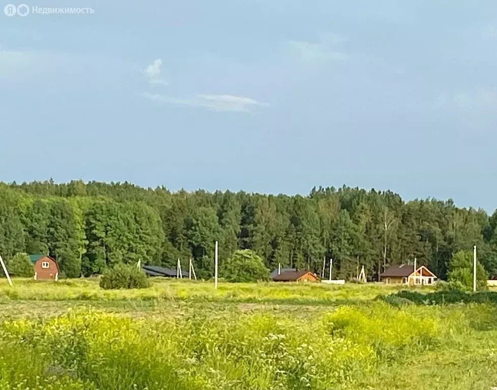 Участок в Клопицкое сельское поселение, деревня Сельцо (40 м) - Фото 2