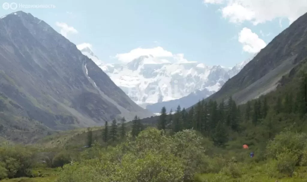 Участок в Усть-Коксинский район, село Тюнгур (8.7 м) - Фото 1