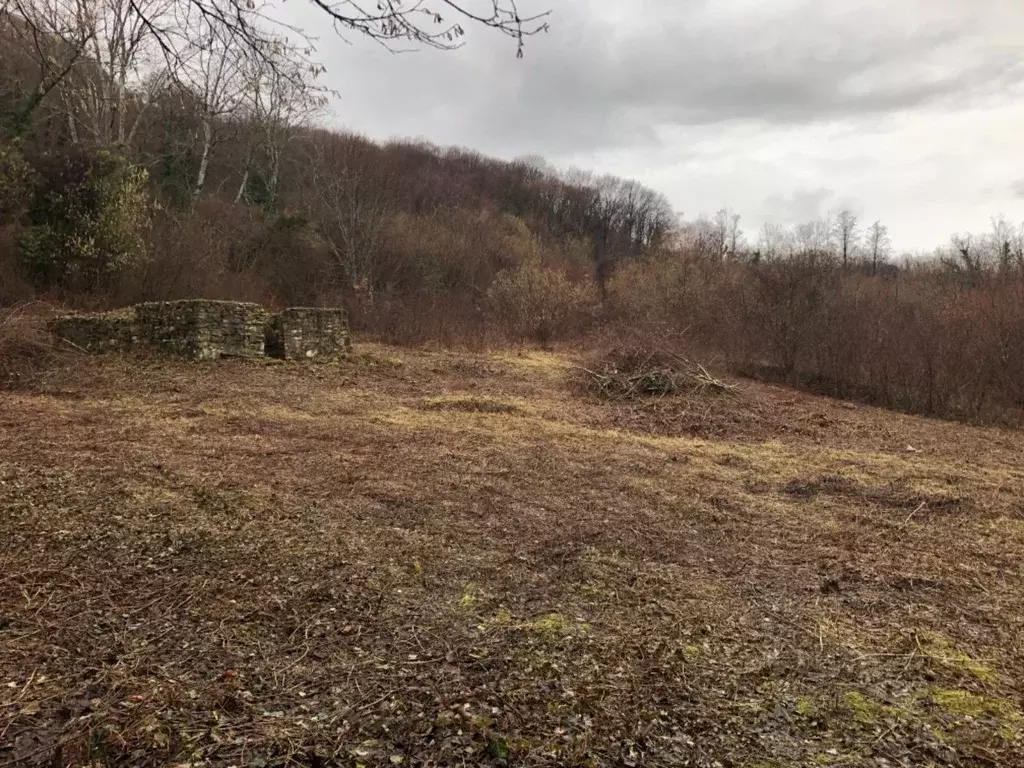 Участок в Краснодарский край, Геленджик городской округ, с. ... - Фото 1