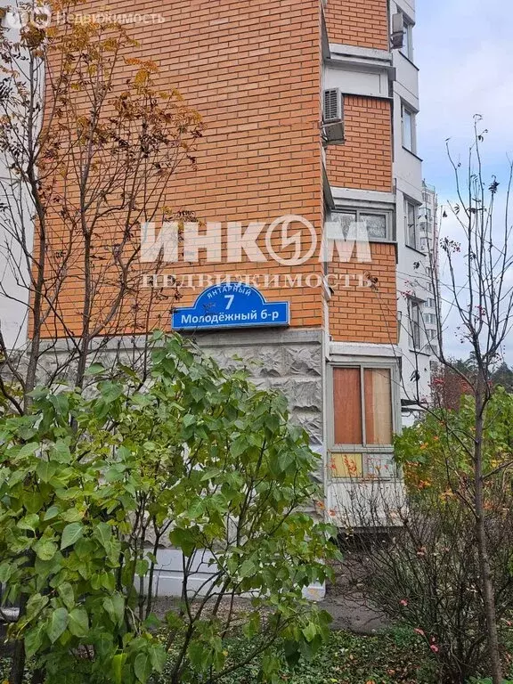 3-комнатная квартира: Балашиха, микрорайон Янтарный, Молодёжный ... - Фото 1