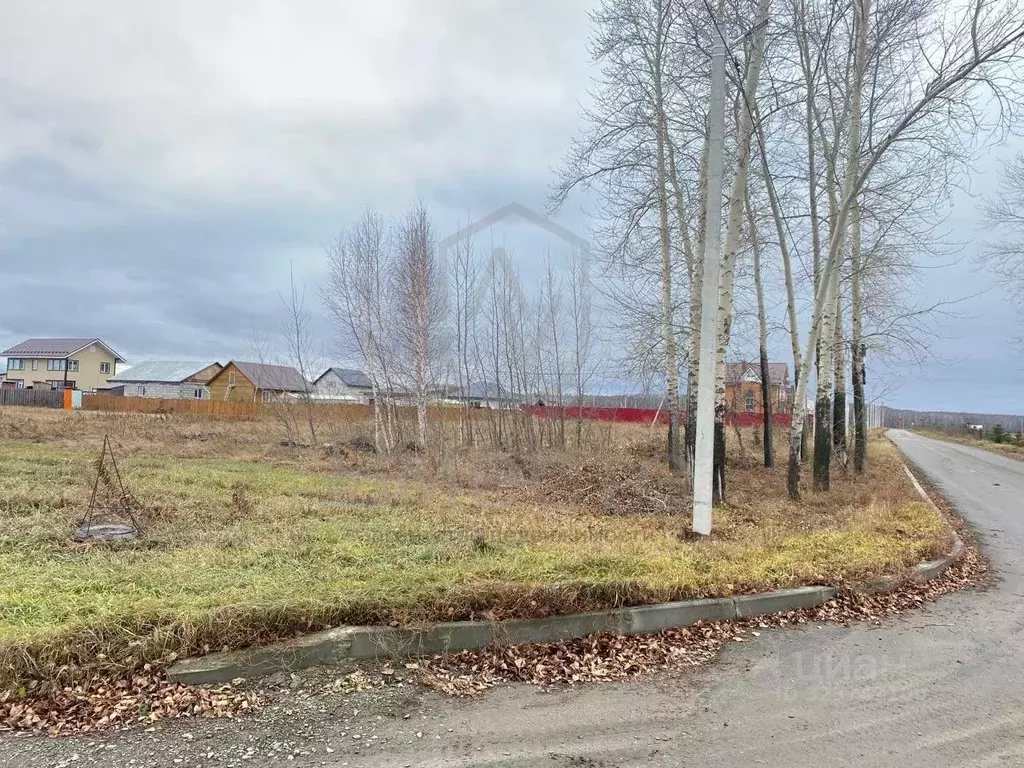 Участок в Новосибирская область, Новосибирский район, Толмачевский ... - Фото 2