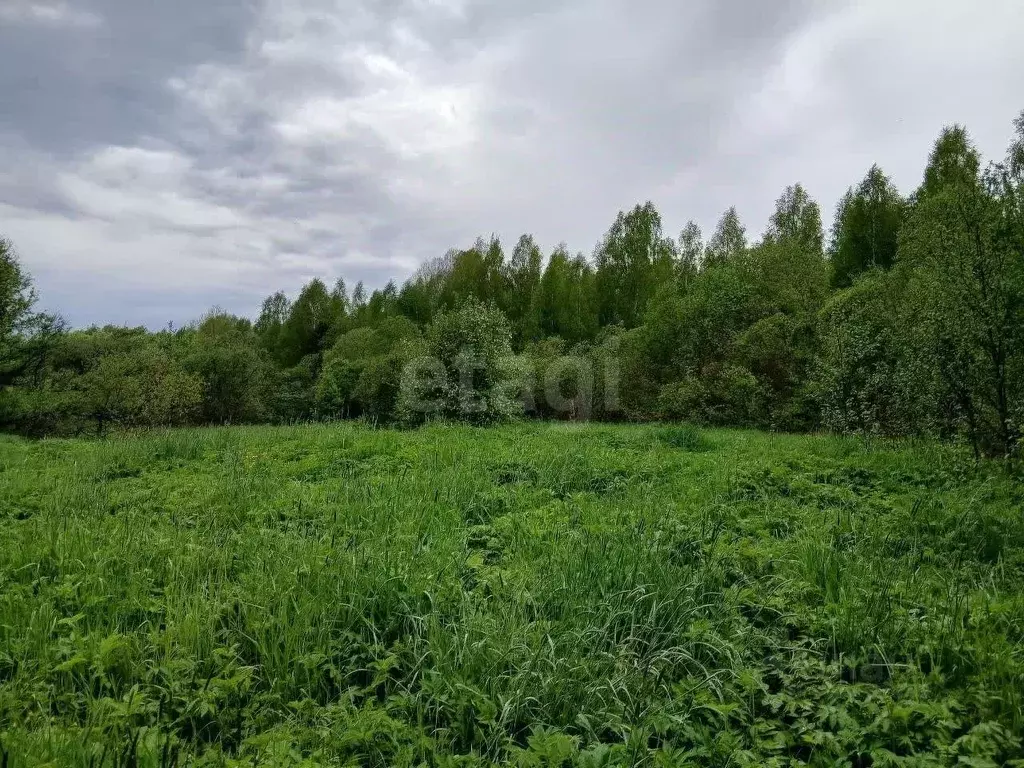 Участок в Ленинградская область, Волховский район, Пашское с/пос, д. ... - Фото 1