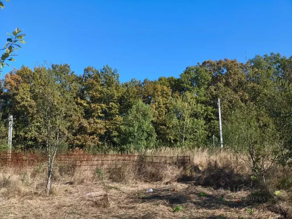 Участок в Краснодарский край, Северский район, Азовское с/пос, ... - Фото 1