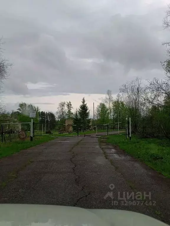 Участок в Пермский край, Пермский муниципальный округ, пос. Бырма  ... - Фото 1