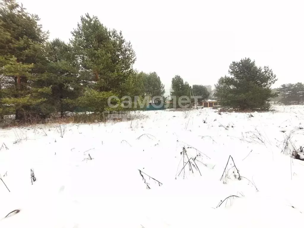 Участок в Калужская область, Дзержинский район, Дворцы с/пос, с. Учхоз ... - Фото 0