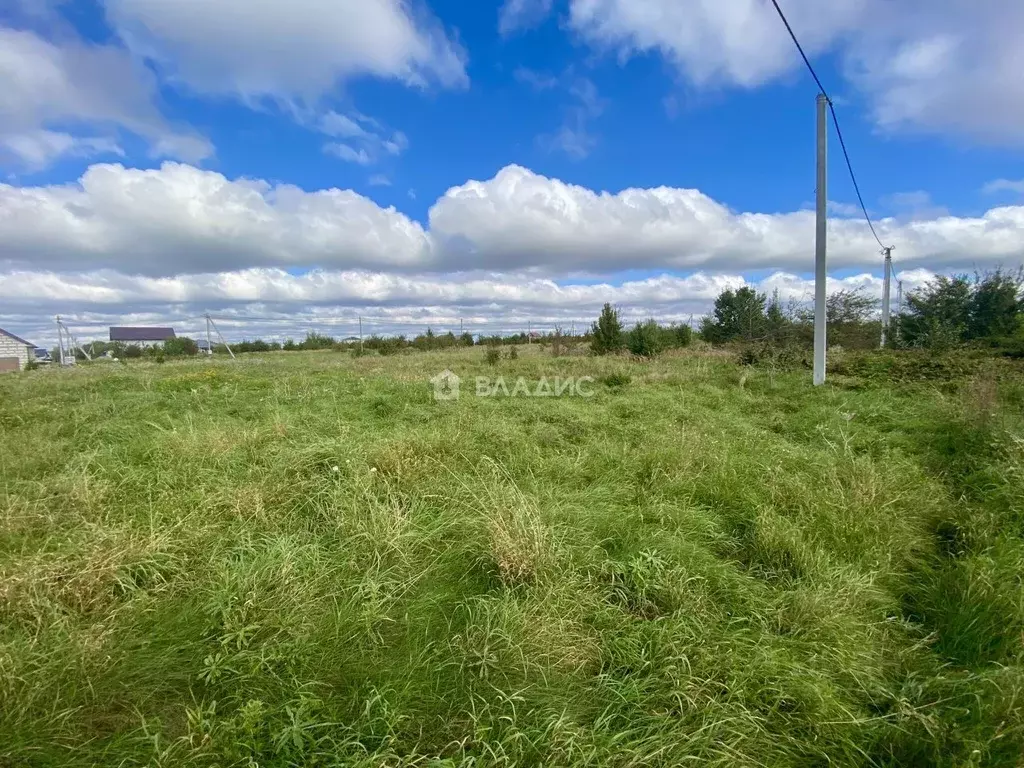 Участок в Калининградская область, Гурьевский муниципальный округ, ... - Фото 2
