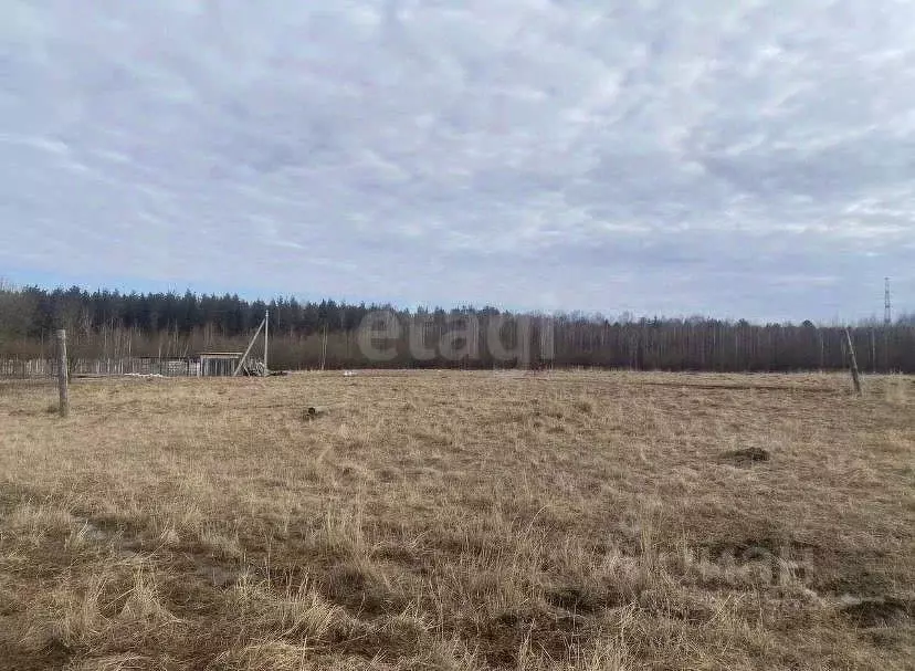 Участок в Свердловская область, Нижний Тагил Возрождение КС,  (10.8 ... - Фото 1