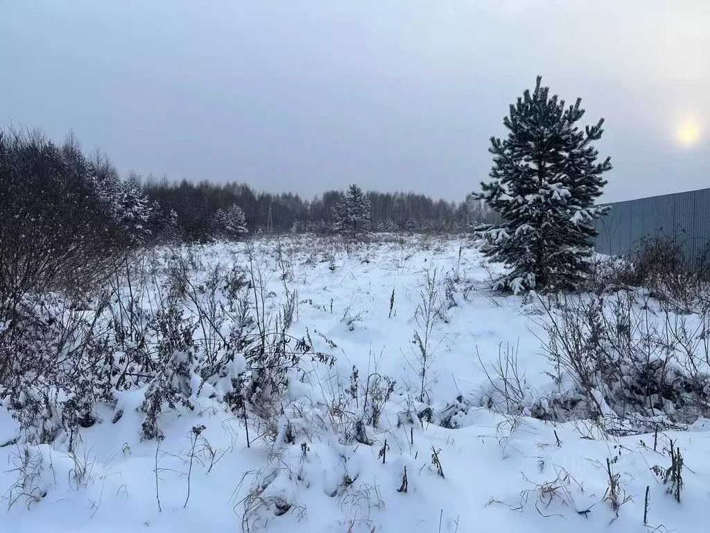 Участок в Свердловская область, Белоярский муниципальный округ  (10.0 ... - Фото 2