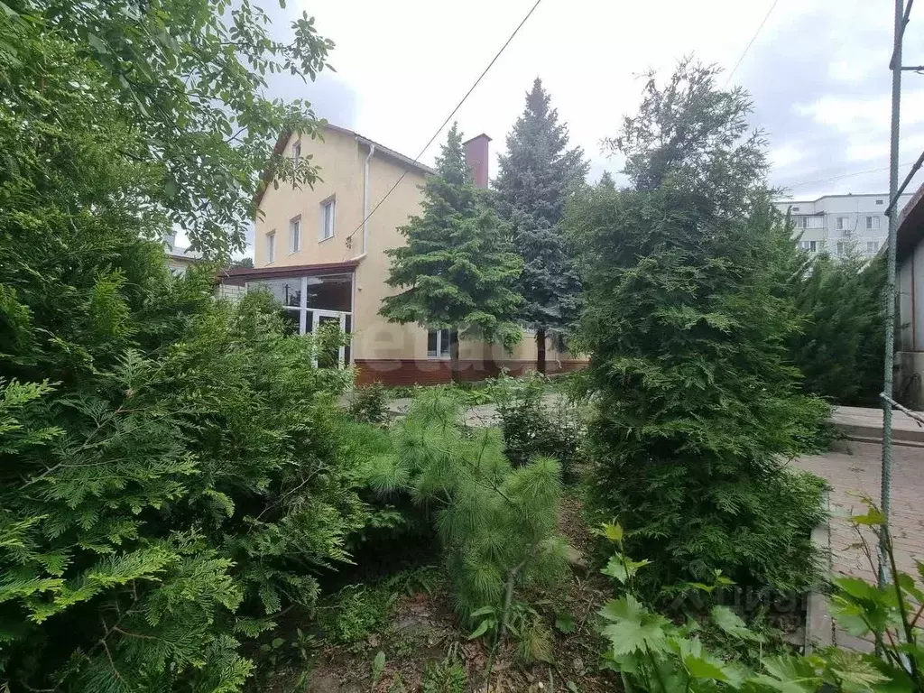 Дом в Волгоградская область, Камышин Гороховская ул., 147Б (289 м) - Фото 0