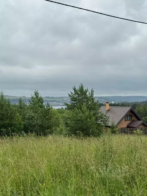 Участок в Пермский край, Добрянский муниципальный округ, д. Мохово ... - Фото 2