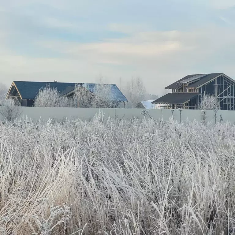 Участок в Московская область, Солнечногорск городской округ, д. ... - Фото 1