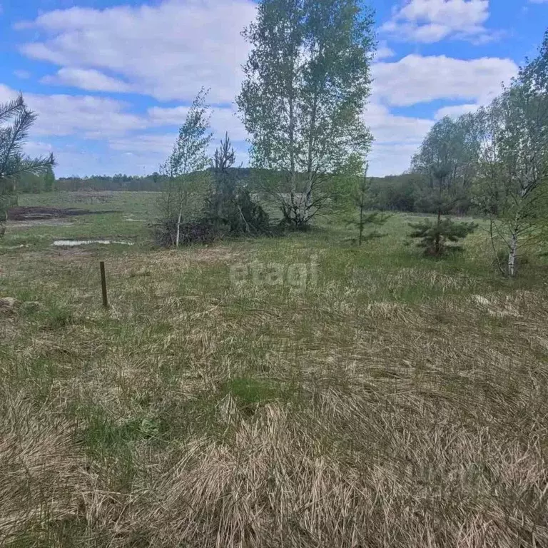 Участок в Владимирская область, Муромский район, Ковардицкое ... - Фото 0