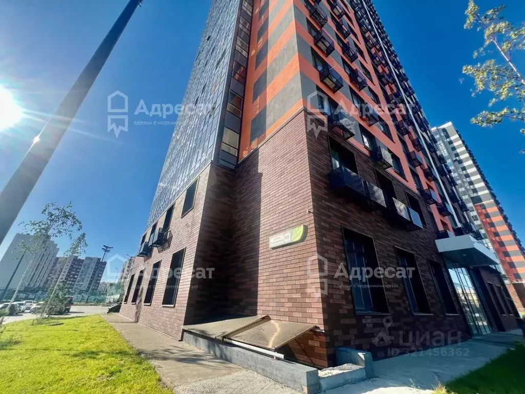 1-к кв. Волгоградская область, Волгоград Родниковая ул., 66 (36.4 м) - Фото 1