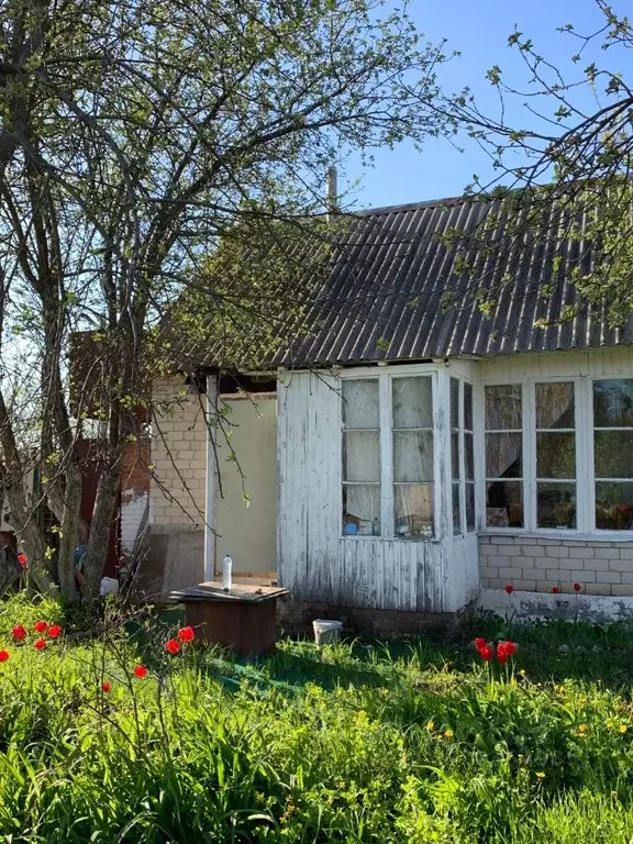 Дом в Воронежская область, Новоусманский район, Тамлык СНТ ул. ... - Фото 0