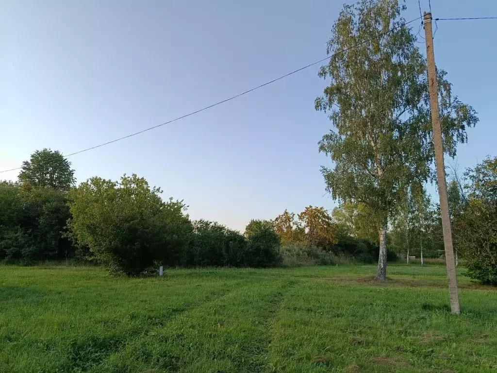 Участок в Рязанская область, Клепиковский муниципальный округ, с. ... - Фото 1