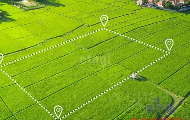 Участок в Пермский край, Добрянский муниципальный округ, д. Гари  ... - Фото 2