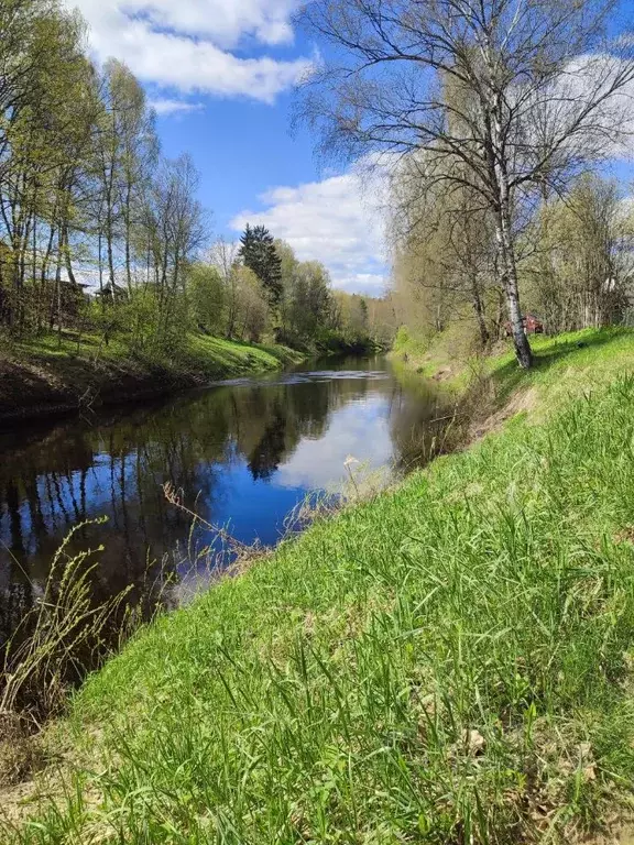 Дом в Псковская область, Псковский район, Карамышевская волость, Кебь ... - Фото 1
