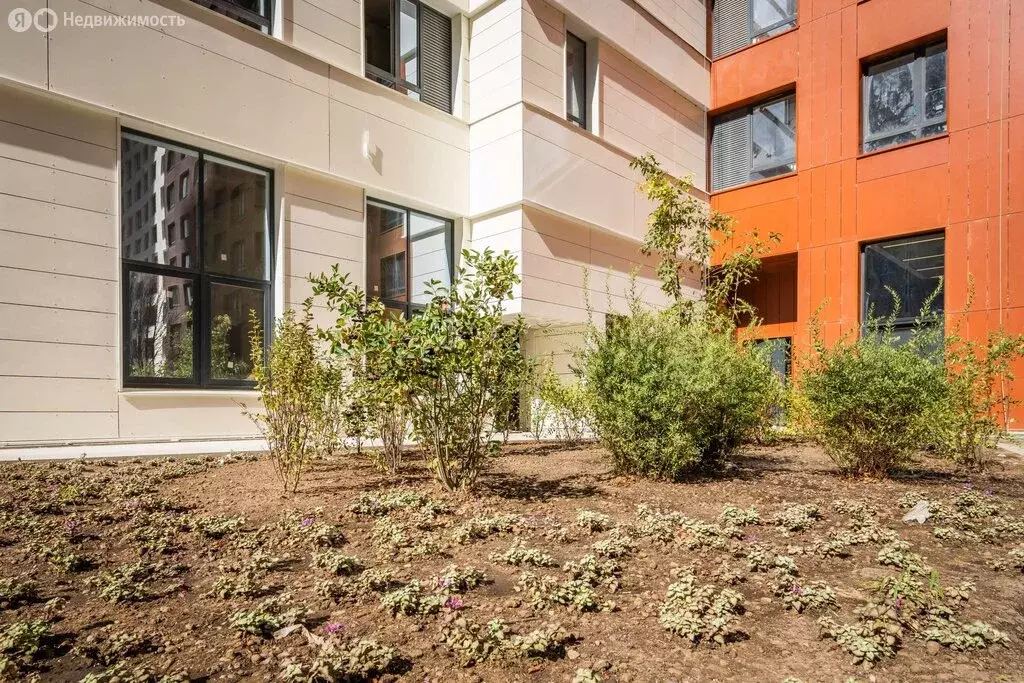 Помещение свободного назначения (5.8 м) - Фото 1