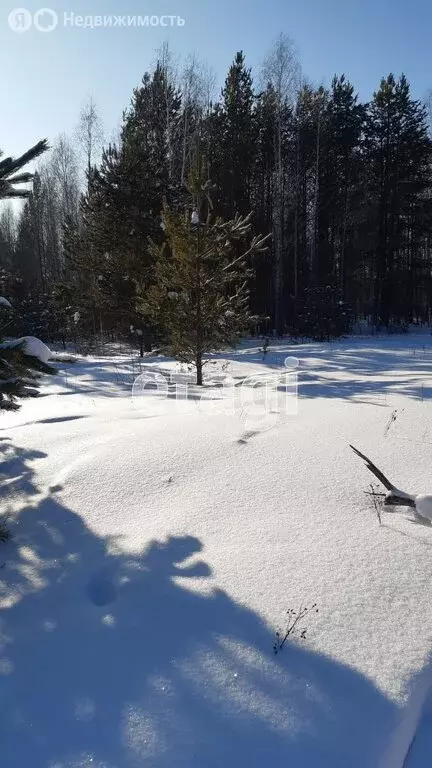 Участок в Уватский район, село Красный Яр (12 м) - Фото 1