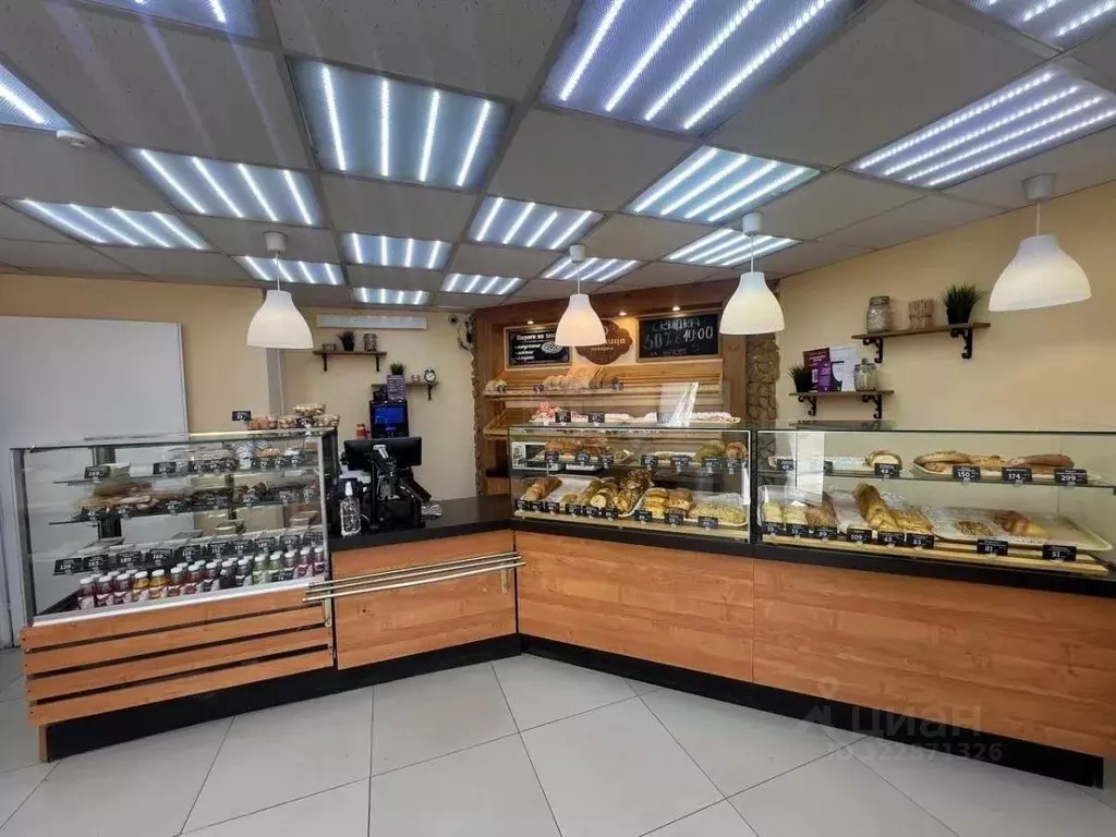 Помещение свободного назначения в Удмуртия, Ижевск Красная ул., 131 ... - Фото 1