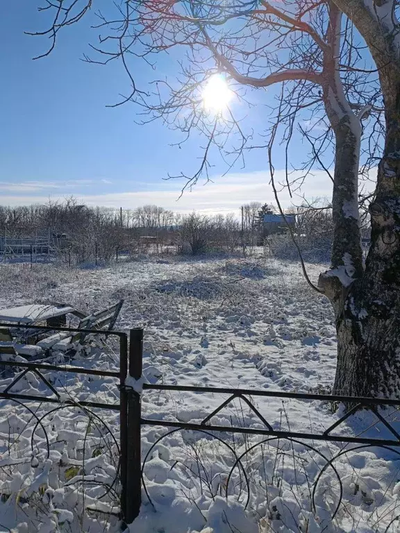 Участок в Ставропольский край, Ставрополь Грушовое садовое ... - Фото 2