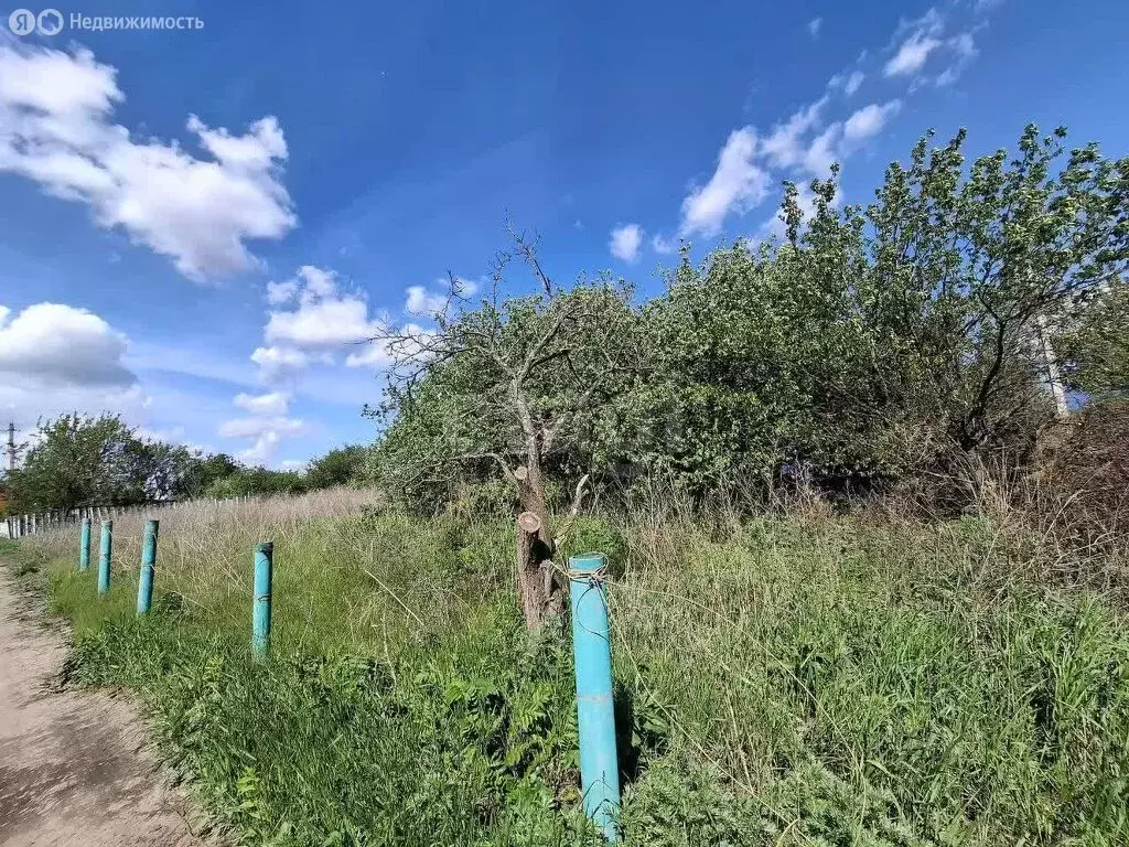 Участок в село Никольское, СТ Калина (10 м) - Фото 1