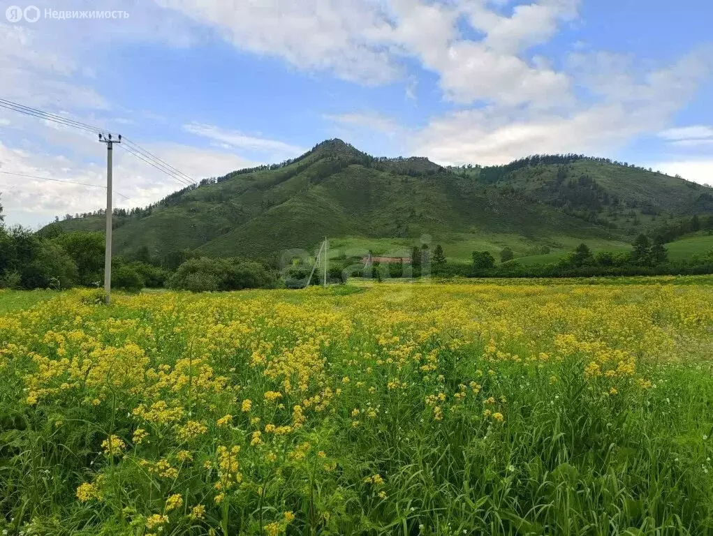 Участок в Шебалинский район, село Шебалино (526 м) - Фото 1