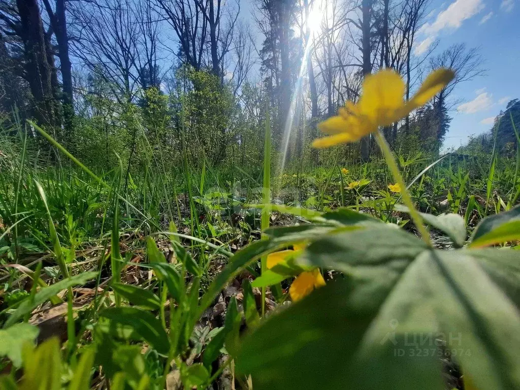 Участок в Тамбовская область, Тамбовский муниципальный округ, Новая ... - Фото 1