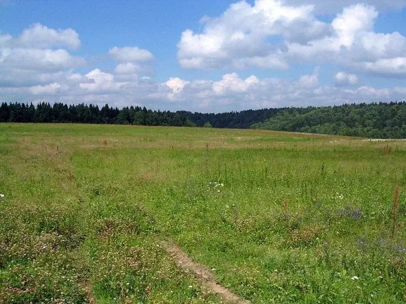 Участок в Свердловская область, Екатеринбург Созвездие Премиум ДПК,  ... - Фото 1