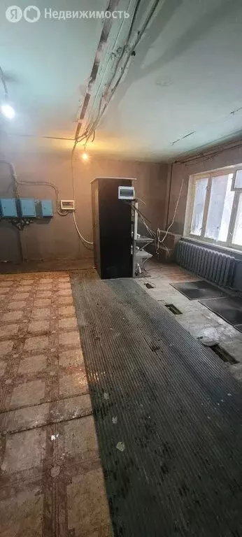 Помещение свободного назначения (71 м) - Фото 2