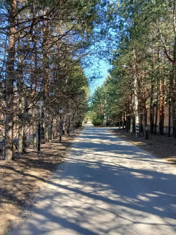 Продается участок в д. Осоргино - Фото 0