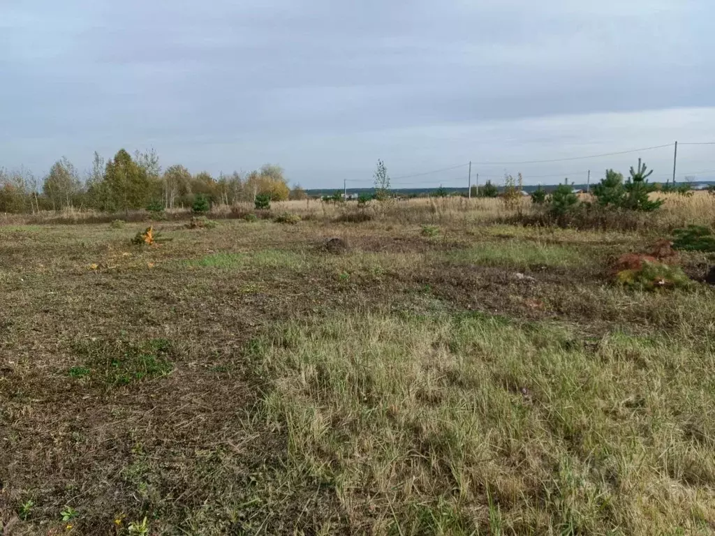 Участок в Тамбовская область, Тамбовский муниципальный округ, пос. ... - Фото 1