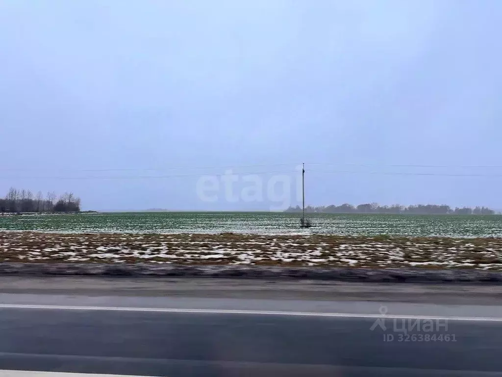 Участок в Ярославская область, Тутаевский муниципальный округ, ... - Фото 2