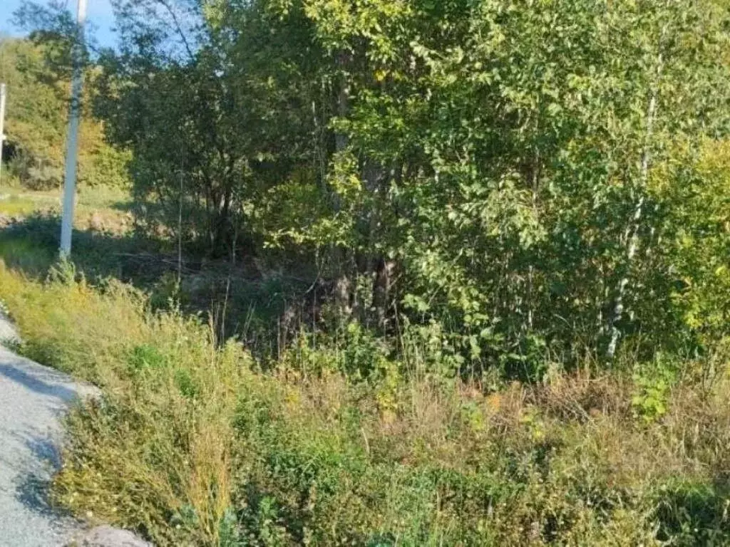 Участок в Ленинградская область, Приозерский район, Кузнечнинское ... - Фото 1