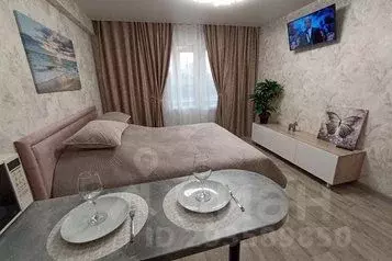 1-к кв. Ивановская область, Иваново Видный мкр, 4 (30.0 м) - Фото 0