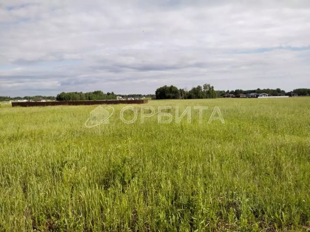 Участок в Тюменская область, Тюменский муниципальный округ, ... - Фото 0