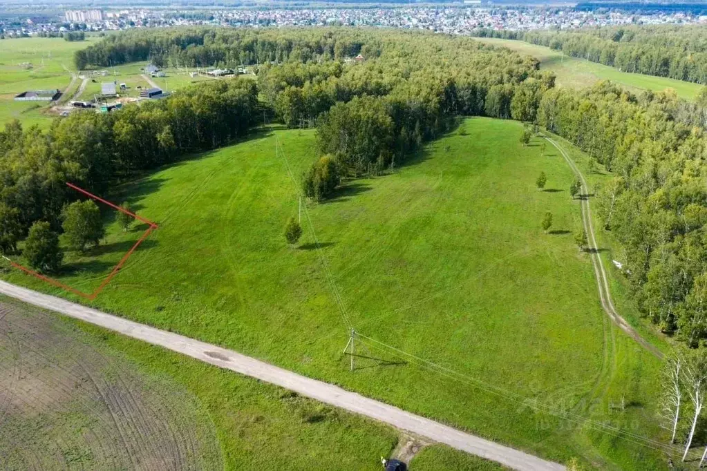 Участок в Новосибирская область, Новосибирский район, Морской ... - Фото 0