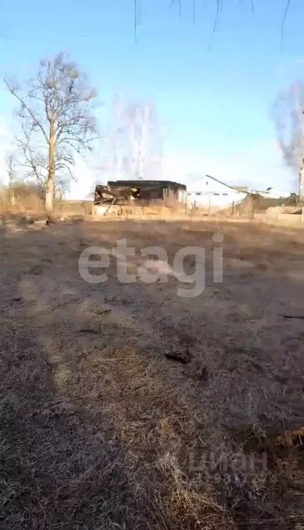 Участок в Брянская область, Климовский район, с. Истопки  (25.5 сот.) - Фото 1