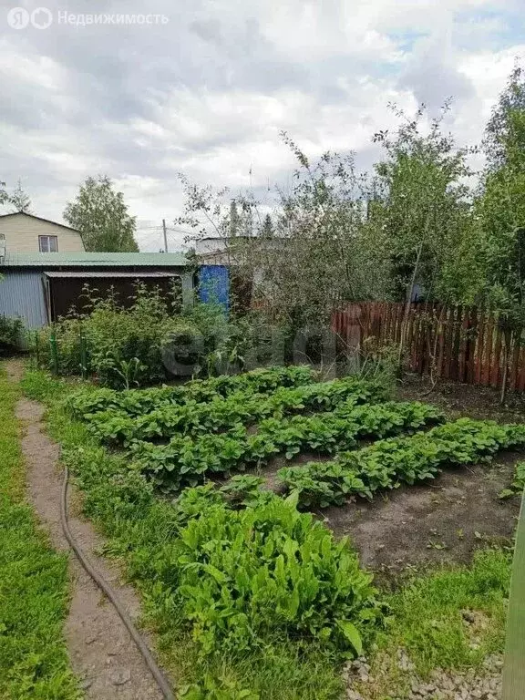 Дом в Омск, ТСН СНТ Колос (42 м) - Фото 1