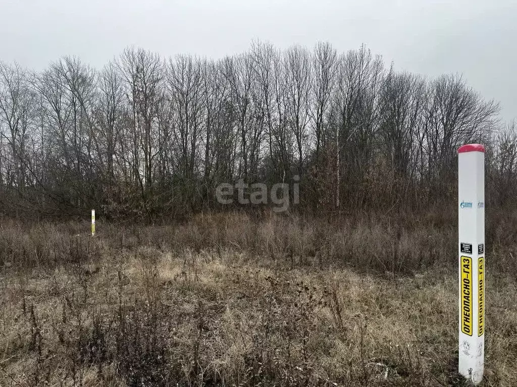 Участок в Белгородская область, Белгородский район, с. Стрелецкое ул. ... - Фото 1