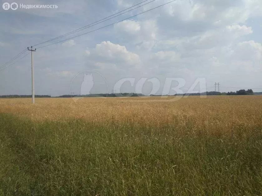 Участок в Тюменский район, село Каменка (10 м) - Фото 1