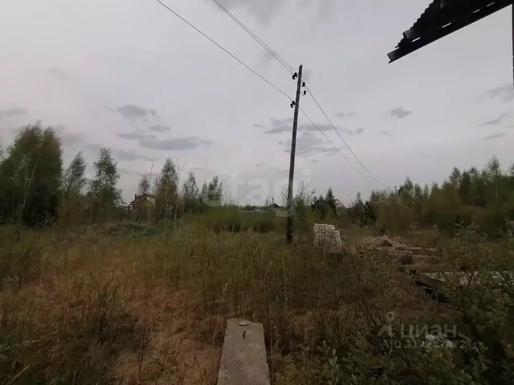 Участок в Нижегородская область, Выкса городской округ, с. Борковка, ... - Фото 1